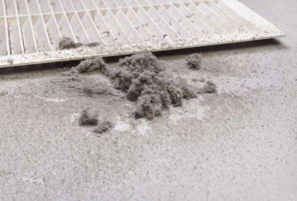 Best HVAC Duct Inspection Services  in Reeds Spring, MO