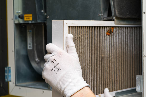 Best Air Duct Cleaning Near Me  in Reeds Spring, MO