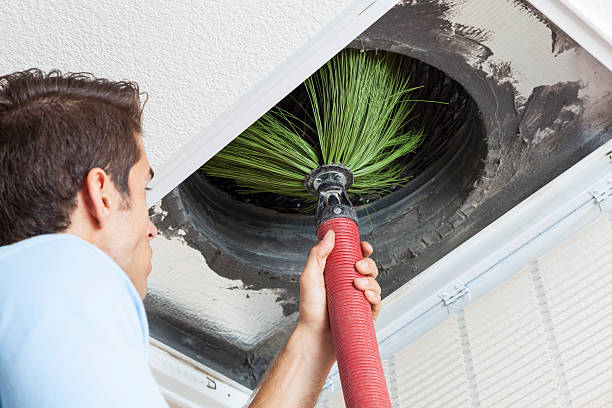 Best Affordable Duct Cleaning Services  in Reeds Spring, MO